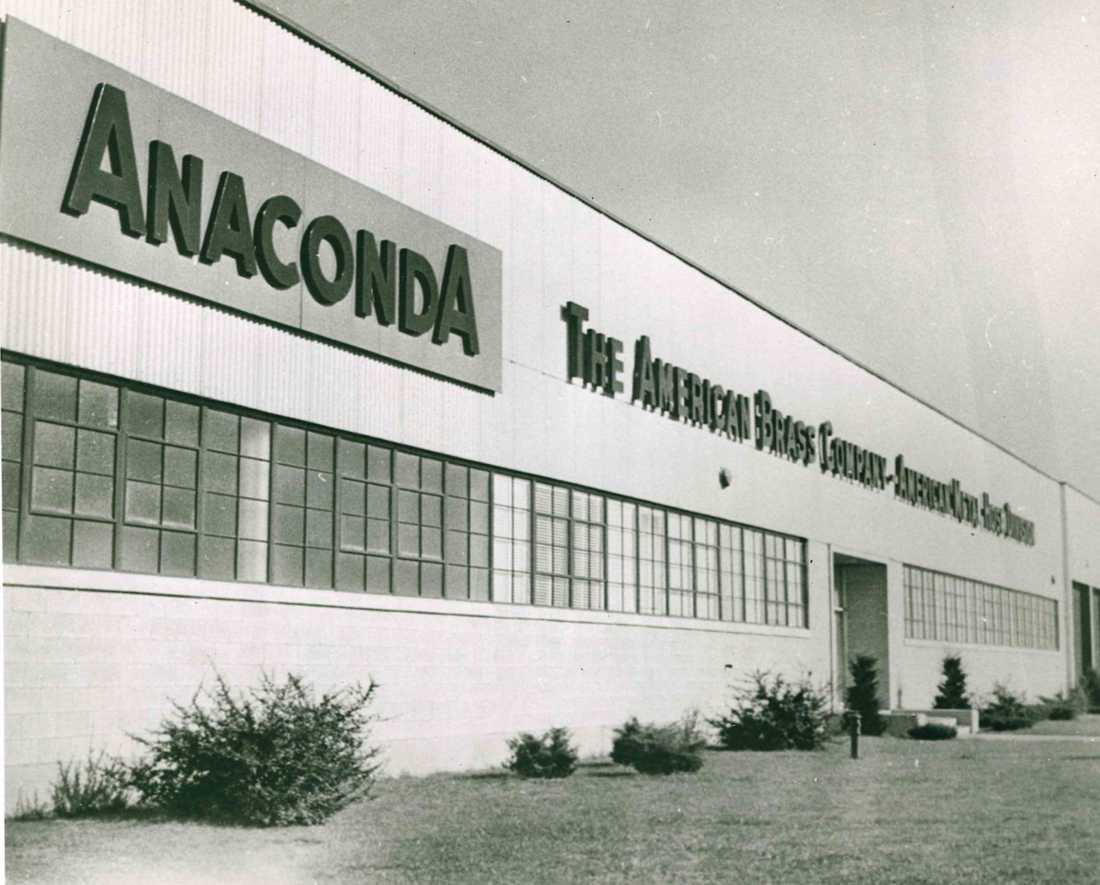 Anaconda